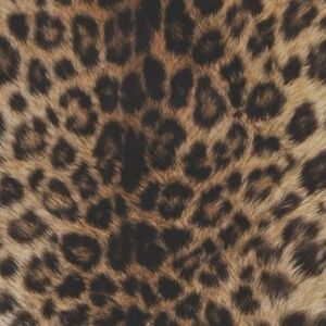 Meet your Posher, Jaeden